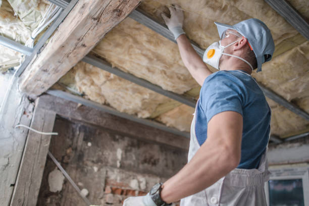 Best Geographic-Specific Insulation Services in Montara, CA